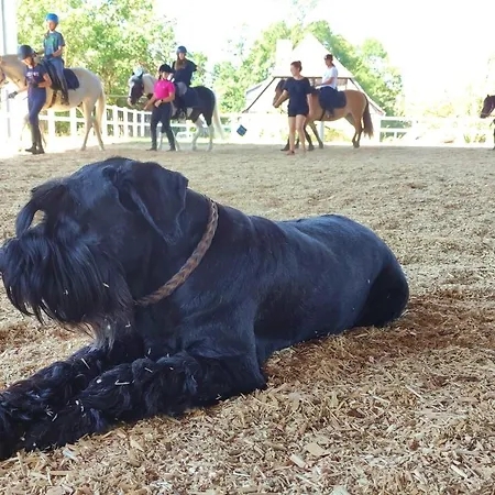 Erdhaus West - Bartel *