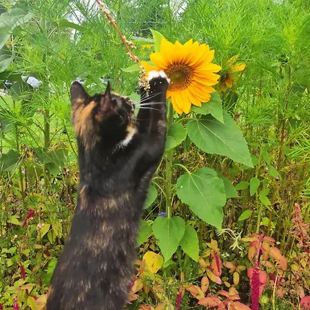 Lejlighed Erdhaus West - Bartel Wiesentheid